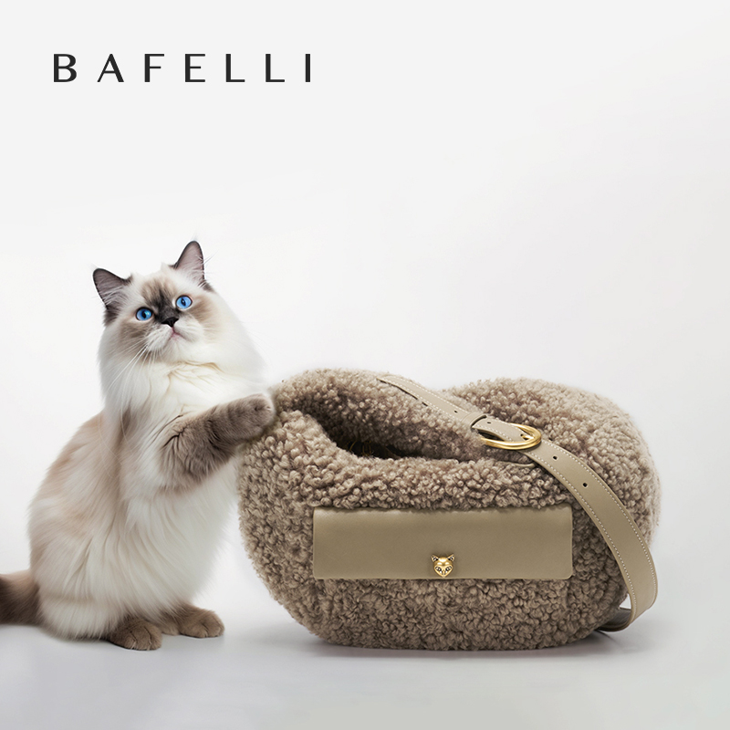 Neue minimalistische Luxus-Des – Women Bags Branded Bewertung und Preis